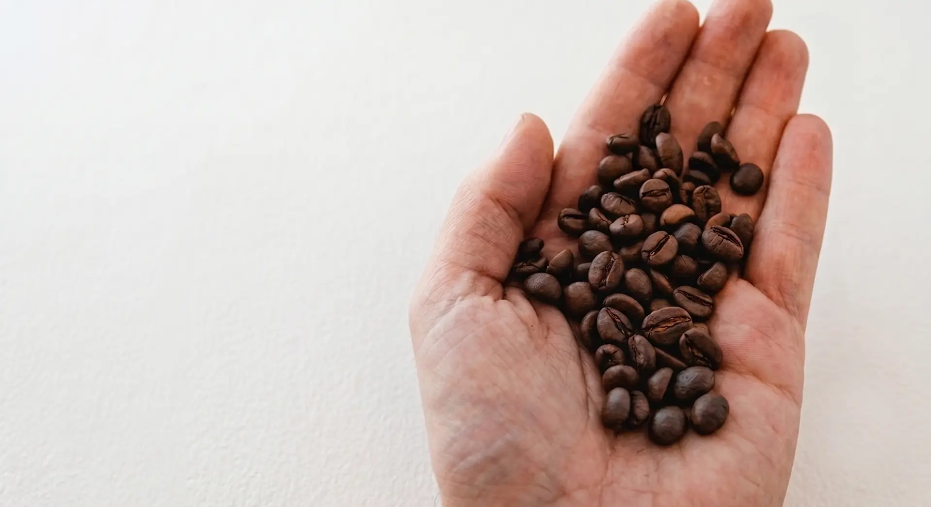 Close-up photograph of a hand cupping medium-dark roasted coffee beans against a white textured background.